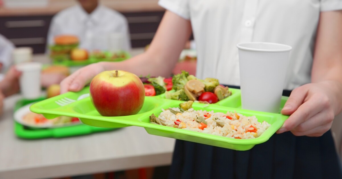 CO school lunches will still be free this year, lawmakers study funding options [Video]