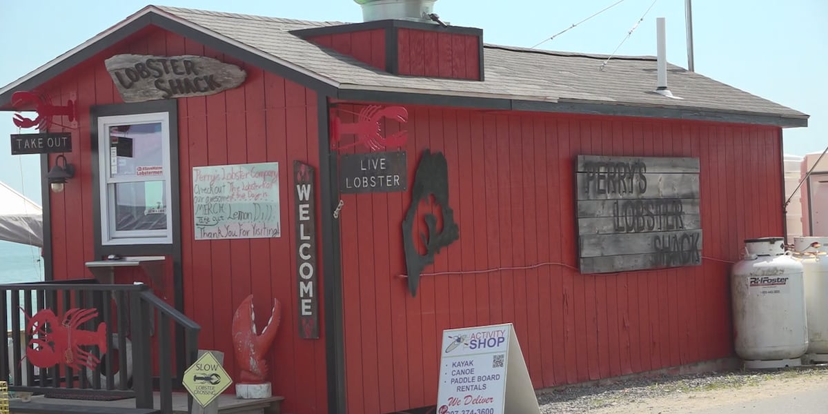 Iconic location in Surry reopens to the public [Video]