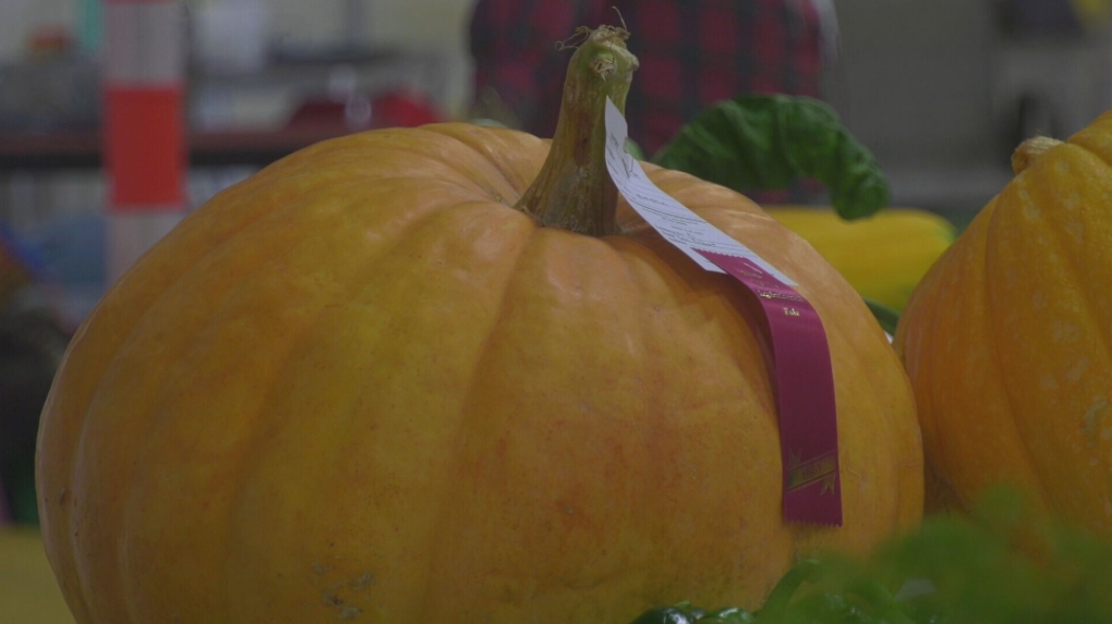 N.B. fair returns for 183rd year [Video]