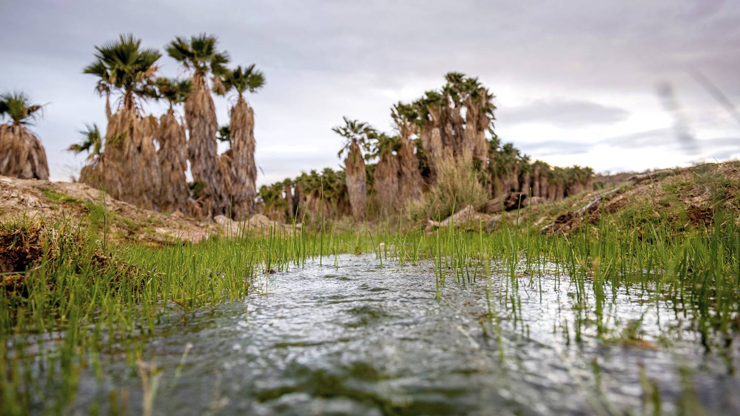 Judge blocks Arizona lithium drilling that tribe says is threat to sacred lands  WSOC TV [Video]