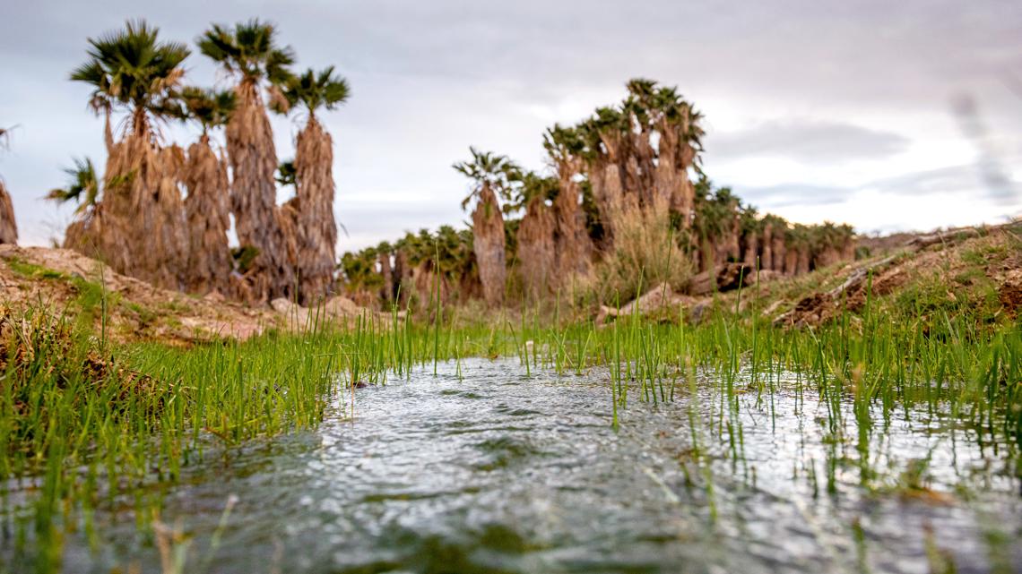 Judge halts exploratory drilling on Arizona tribe’s sacred land [Video]