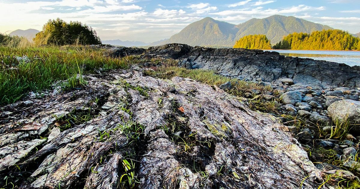 Clayoquot Sound Agreement caps major Emerald Edge milestones| TNC [Video]