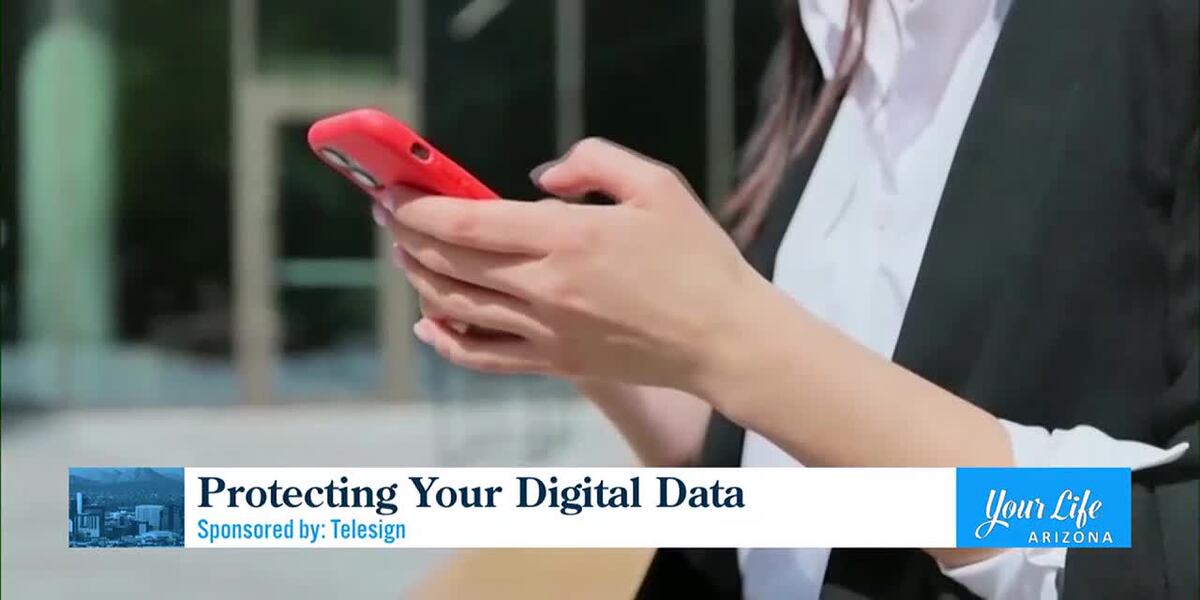 Protecting your digital data: Here’s how Telesign works behind the scenes to keep you safe online [Video]