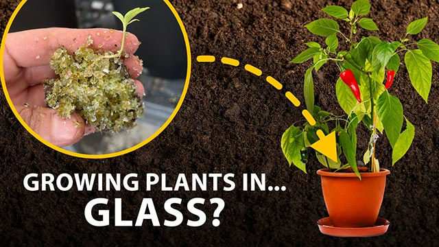 Recycled glass soil for the future of farming | Headline Science [Video]