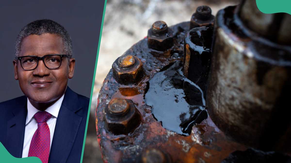 Report Exposes Companies Selling Dirty Fuel in Nigeria After Dangote Raised Alarm [Video]