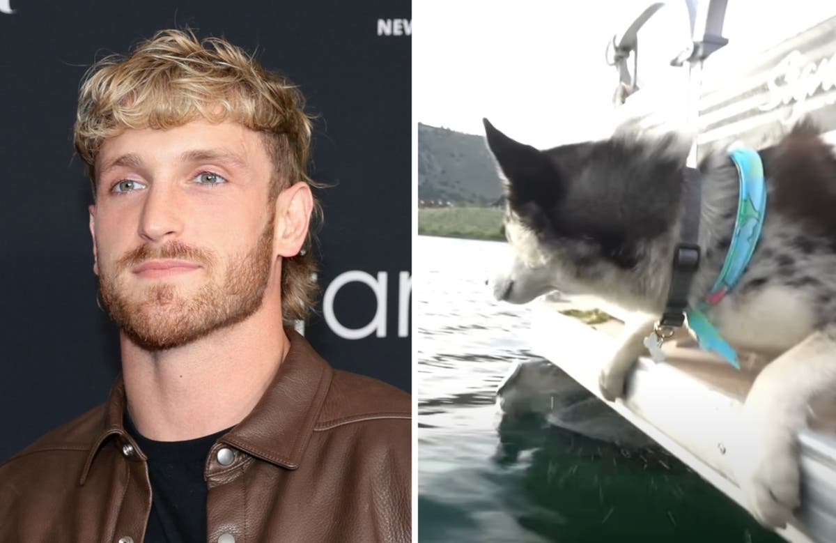 Logan Paul responds to claims he pushed his dog off a boat [Video]