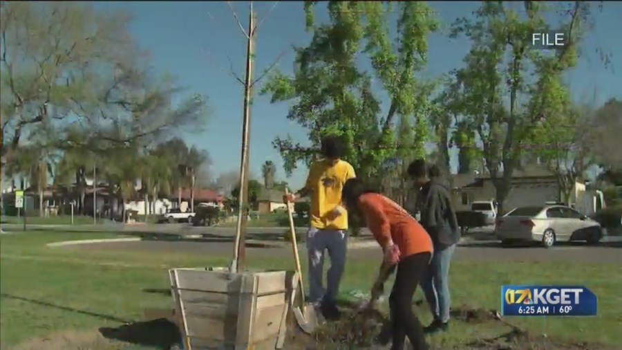 Bakersfield named 2023 Tree City: Arbor Day Foundation [Video]