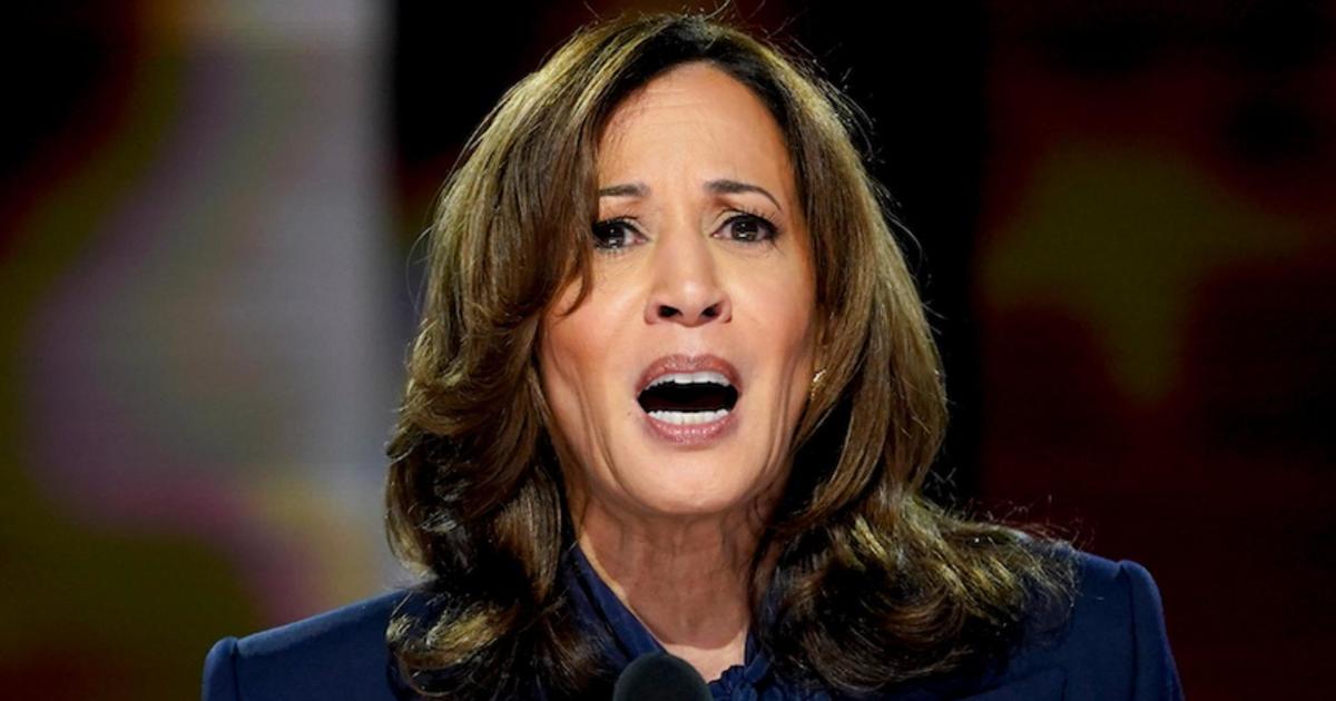 Kamala Harris’ DNC speech addressed the Israel-Hamas war. What to know. [Video]