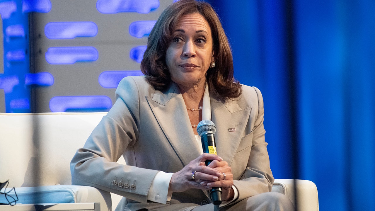 DNC attendees struggle to name their favorite Harris policy: Like her as a person [Video]