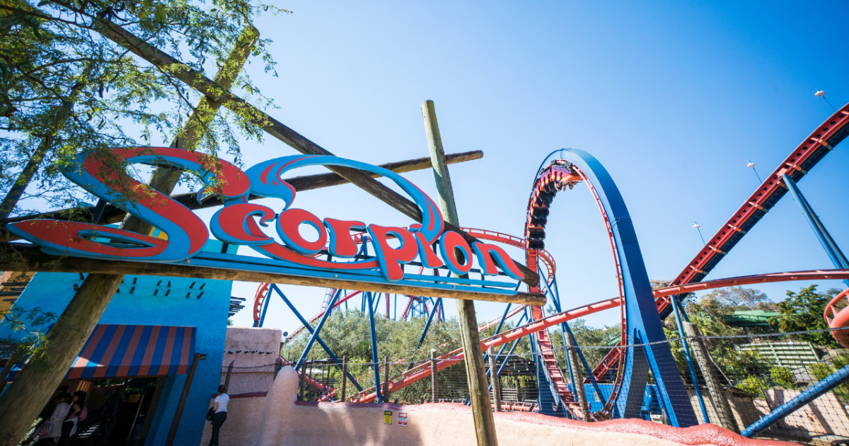 Busch Gardens set to close Scorpion roller coaster after more than 44 years [Video]