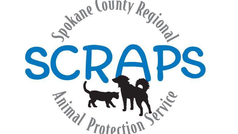 Spokane SCRAPS offering free neutering amid increase of pregnant animals [Video]