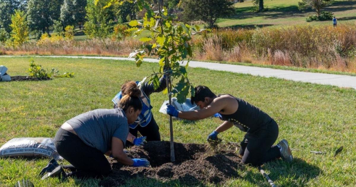 Keep Omaha Beautiful, Mulhalls work to restore tree canopy [Video]