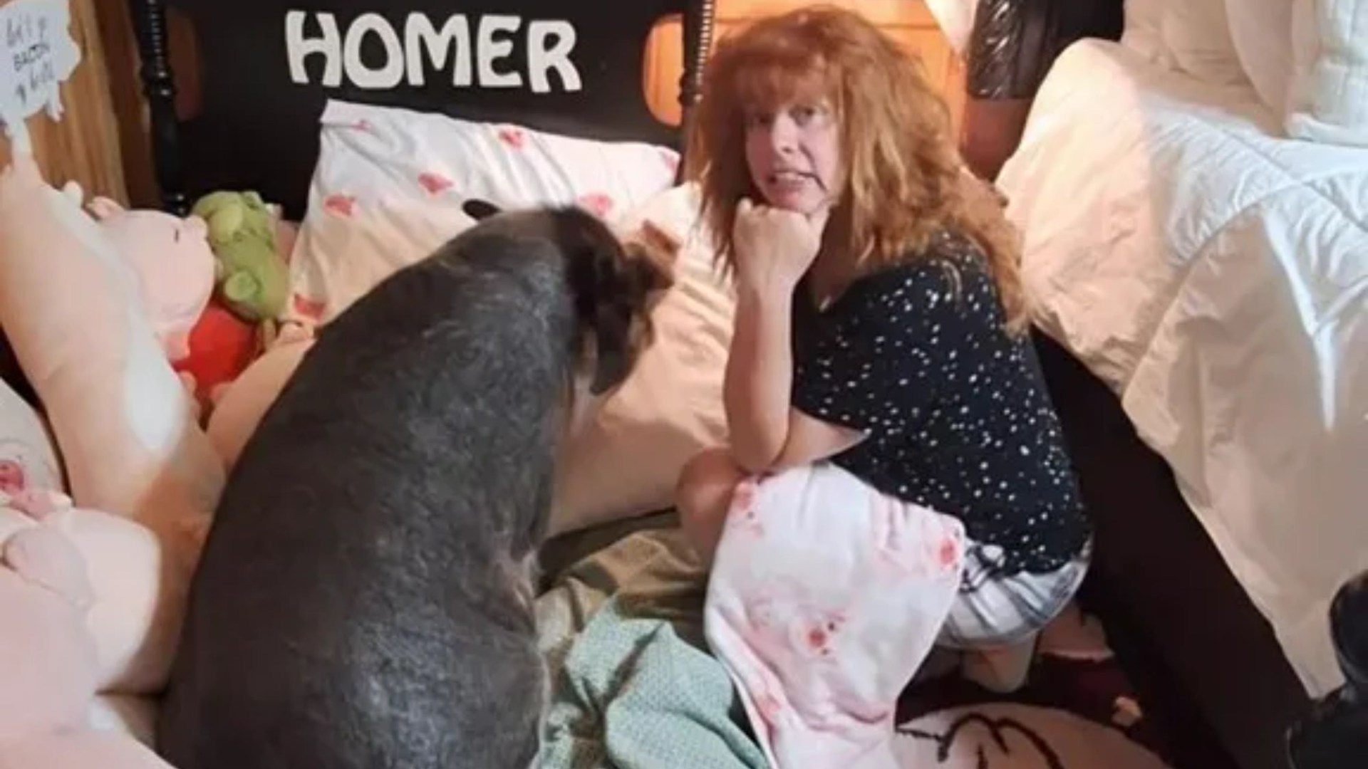 I live with a pet pig & we share the bedroom – I tuck him in at night but people think its ridiculous & call me ‘mad’ [Video]