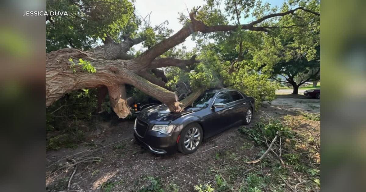 Biden approves disaster declaration for Missoula following July wind storm [Video]