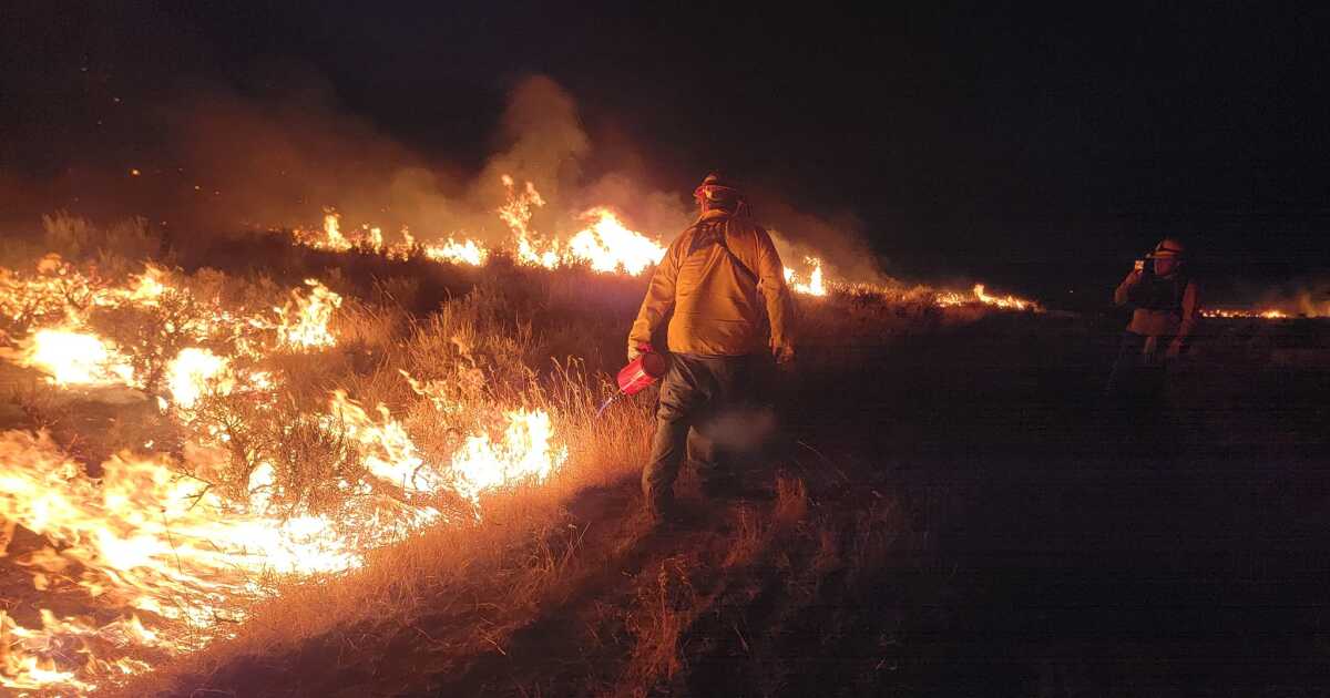 Report: Fires have burned 918K acres along Montana-Wyoming border [Video]