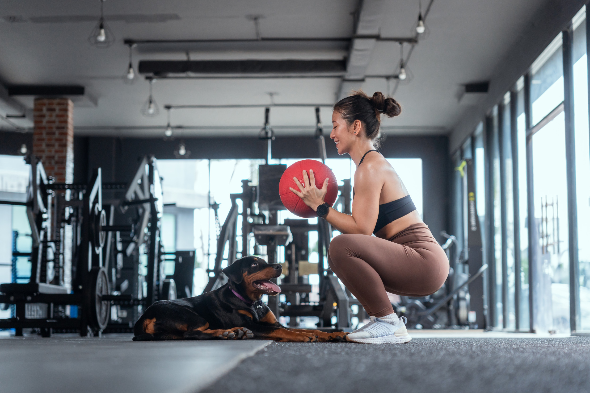 Dog Tries to Join Owner’s Workout: ‘Catchin’ the Zoomies’ [Video]