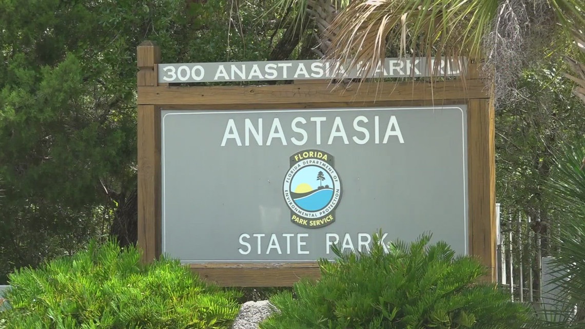 Grassroot groups host meetings on Anastasia State Park changes [Video]