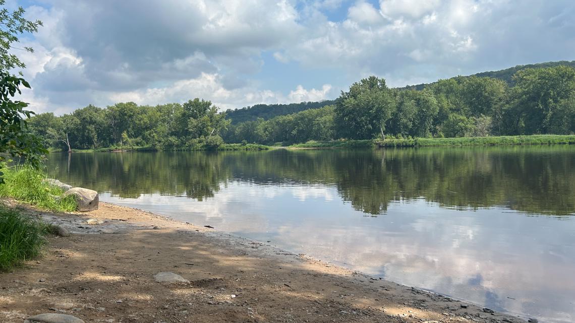 Several dead turtles found along St. Croix River [Video]