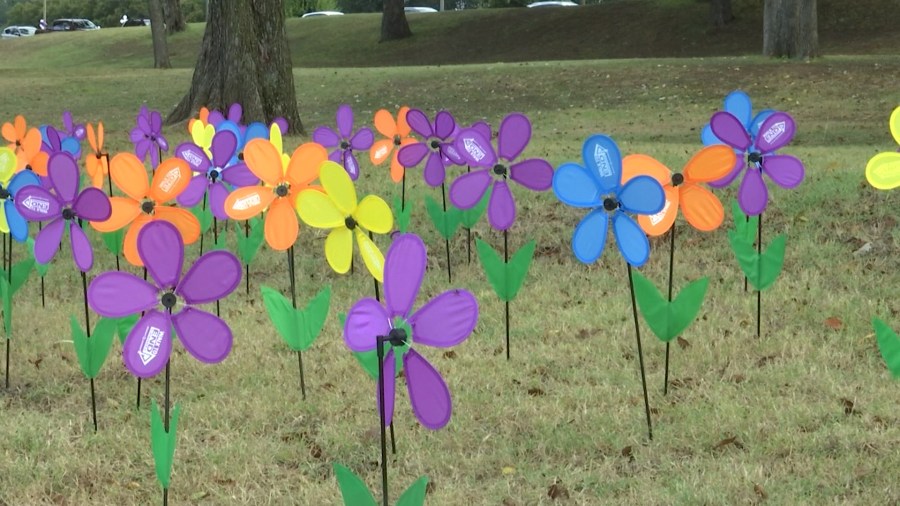 Three East Texas cities to hold Walk to End Alzheimers [Video]