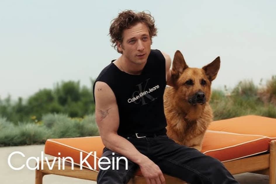 Calvin Klein hopes to go viral a second time with Jeremy Allen White campaign [Video]