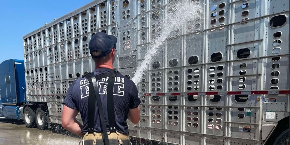 Cedar Rapids Firefighters help pigs in stalled semi-trailer in excessive heat [Video]