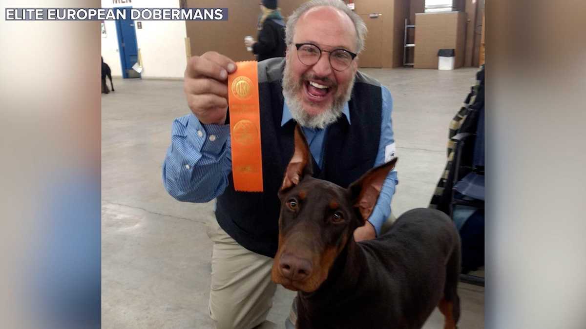 A Colorado dog breeder has been found dead and his Doberman Pinscher puppies are missing [Video]