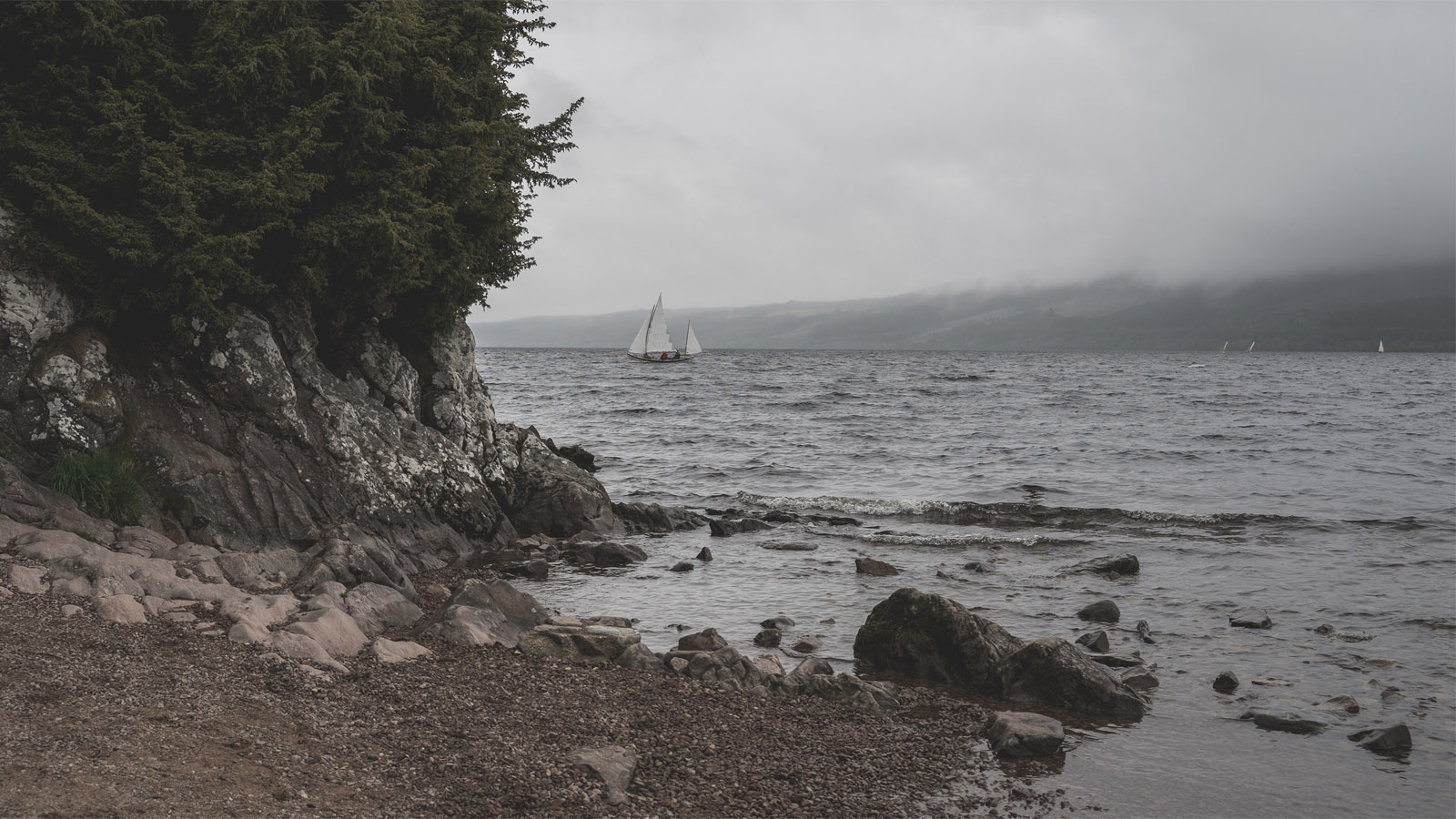 Holographic Camera Photographs ‘Micro-Monsters’ In Loch Ness [Video]