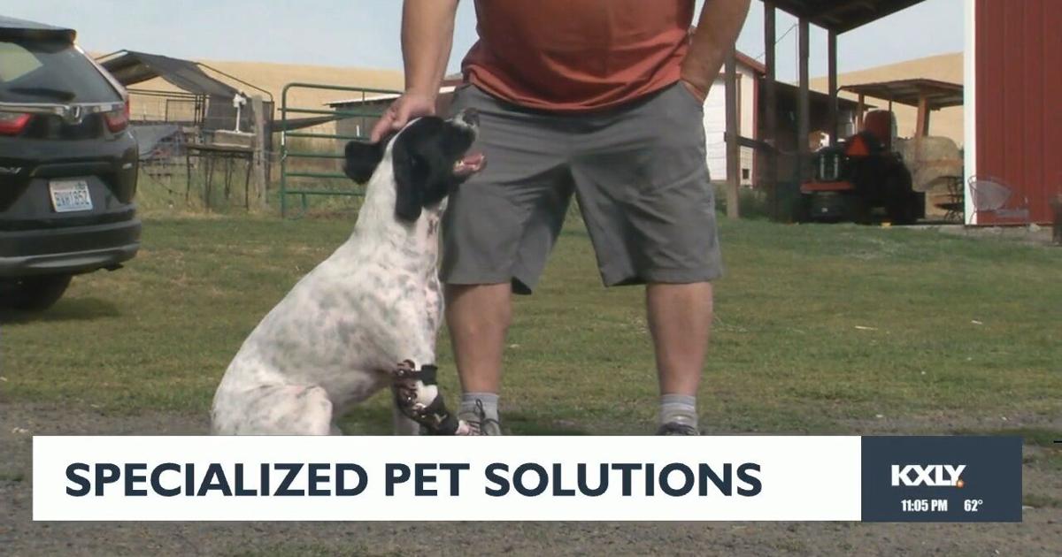 Spangle-based Specialized Pet Solutions gives animals a new ‘leash’ on life | News [Video]