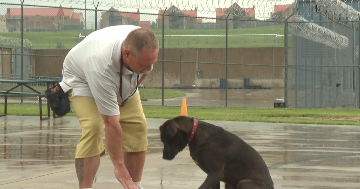 Jefferson City inmate highlights Puppies for Parole program | Mid-Missouri News [Video]