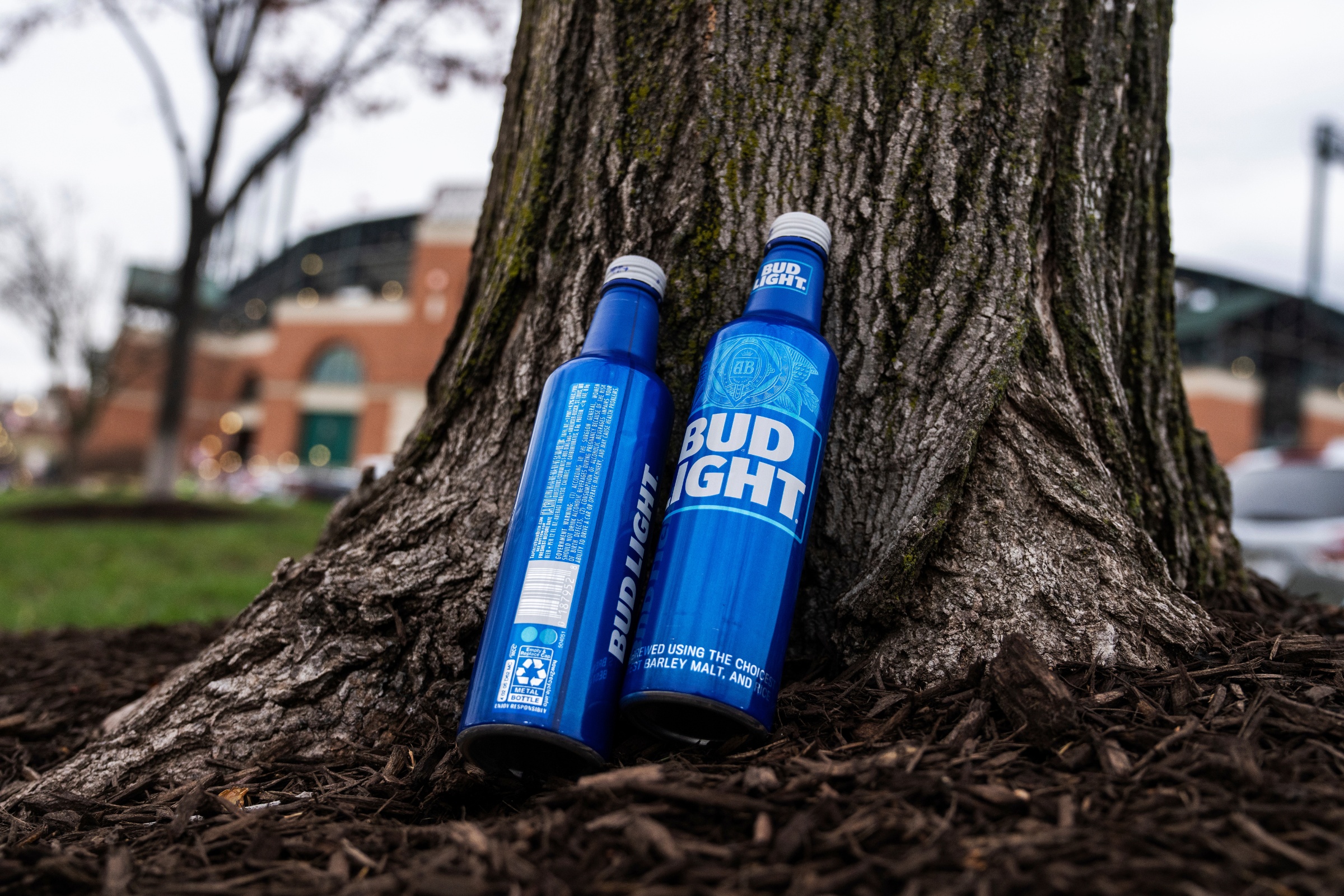 Bud Light Gets Back to Basics After Culture Wars Backlash [Video]