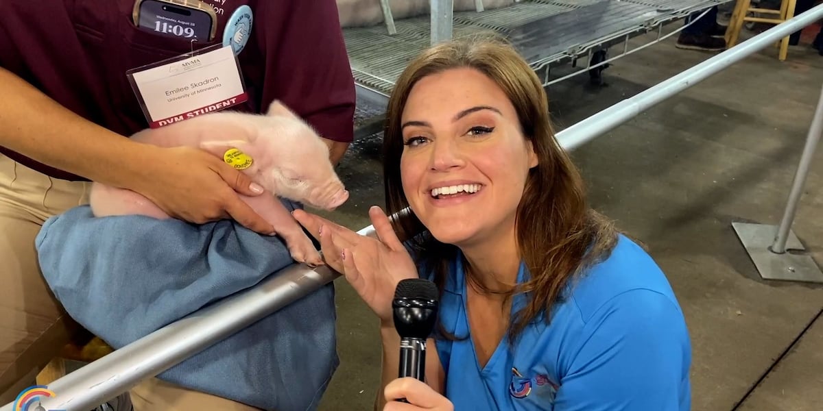 The politics of the Minnesota state fair [Video]