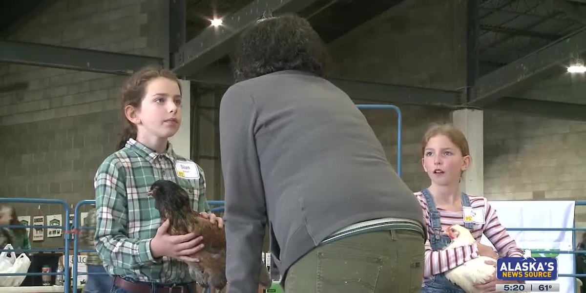 Youth showcase vast array of items during state fair livestock event [Video]