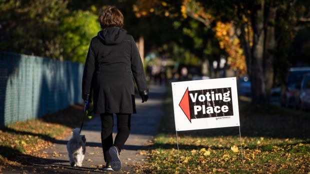 Provinces’ capacity to respond to foreign interference questioned ahead of busy election season [Video]