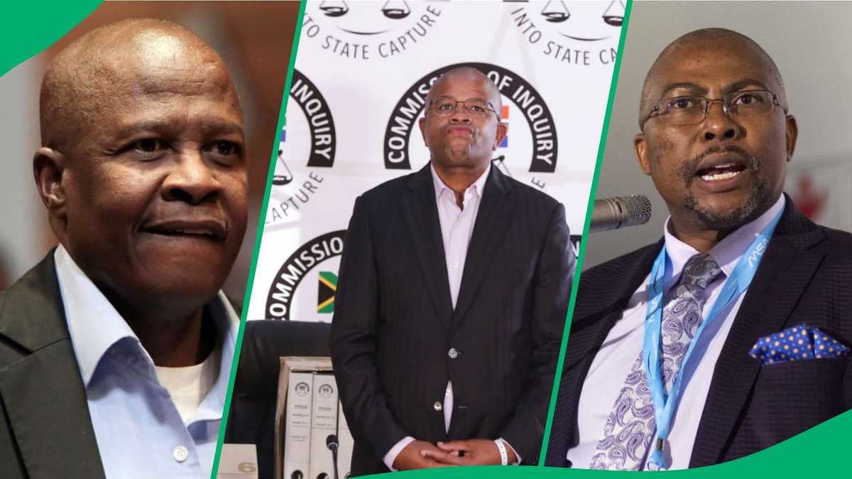 MK Party MPs Brian Molefe, Lucky Montana, Siyabonga Gama an Insult to Democracy: Democratic Alliance [Video]