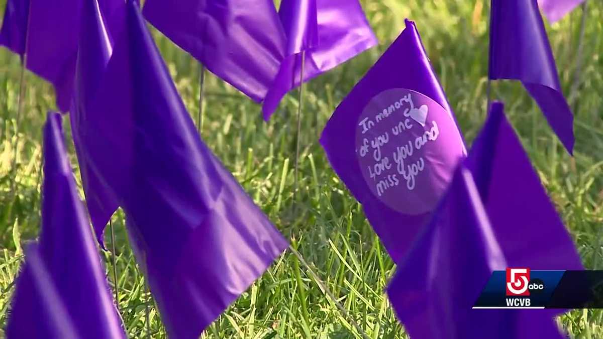 Boston honors overdose victims with 22,000 purple flags [Video]