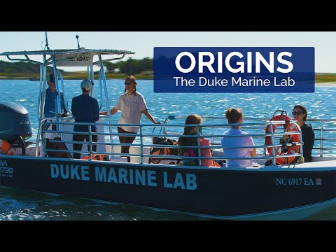 Origins | The Duke Marine Lab [Video]