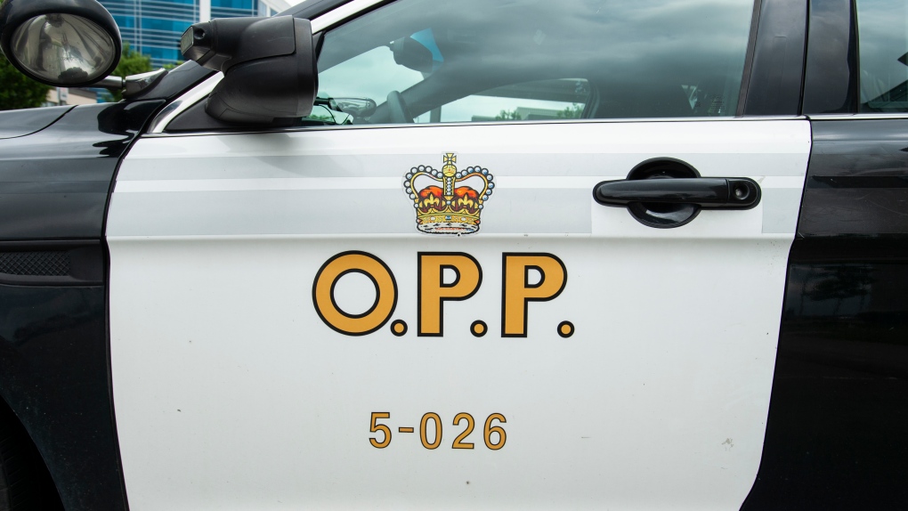 OPP charge 17-year-old for joy ride in mom’s car on Hwy. 7 [Video]