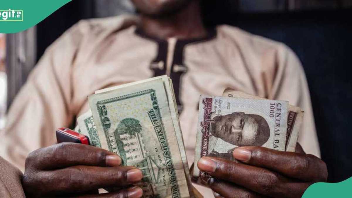 Dollar, Pound, Euro Exchange at New Rates in Official, Black Markets As Naira Depreciates [Video]