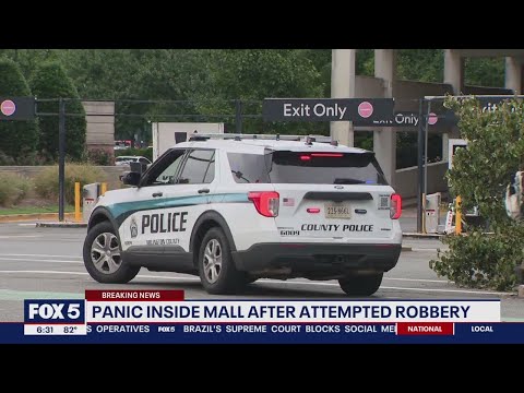 3 suspects wanted after robbery at Fashion Centre at Pentagon City causes chaos [Video]