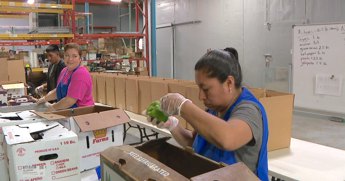 Denver entrepreneur leans on mentorship to get fresh food to communities in need [Video]