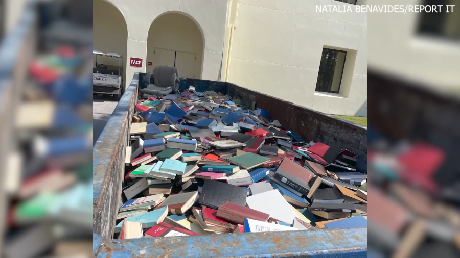 New College library dean terminated after investigation over books found in dumpster [Video]