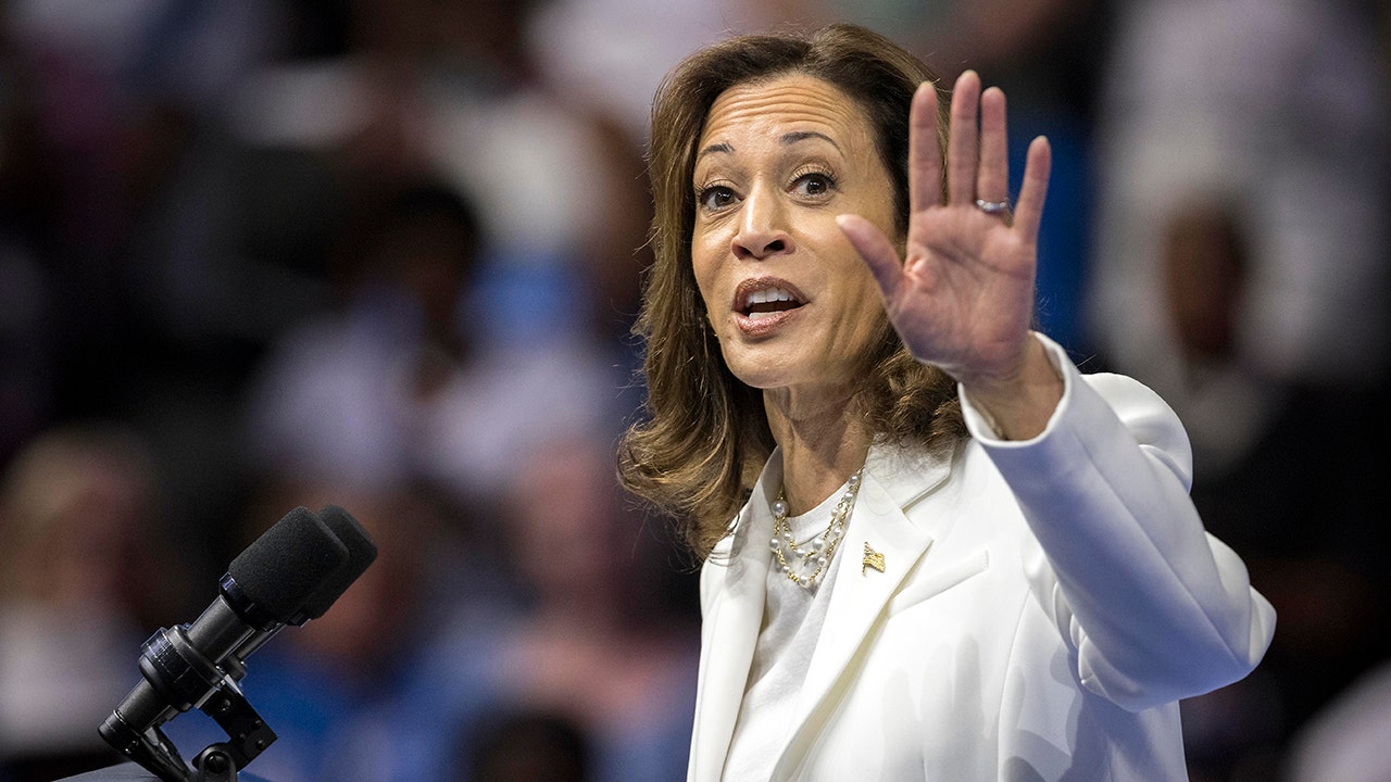 47 days: Kamala Harris has yet to do formal press conference since emerging as Democratic nominee [Video]