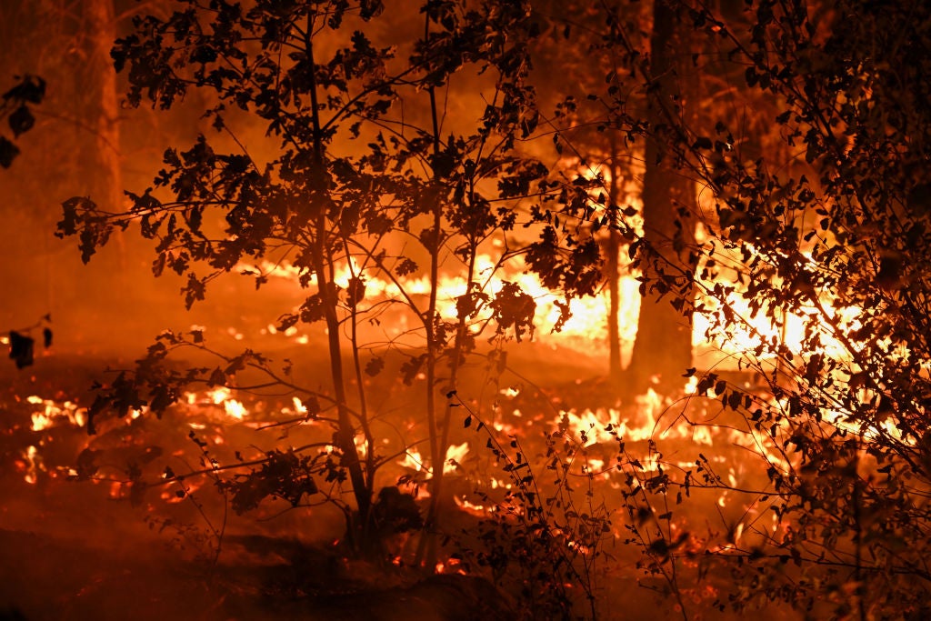 California researchers develop advanced gel to protect homes from wildfires [Video]