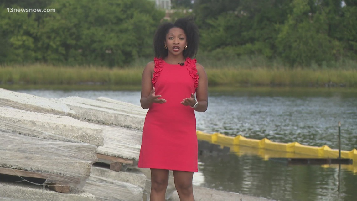 Restoring the Highland Park living shoreline in Norfolk [Video]