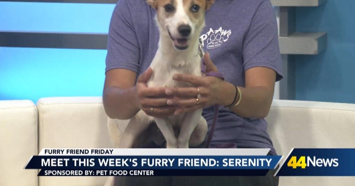 Furry Friends Friday: Meet | Indiana [Video]