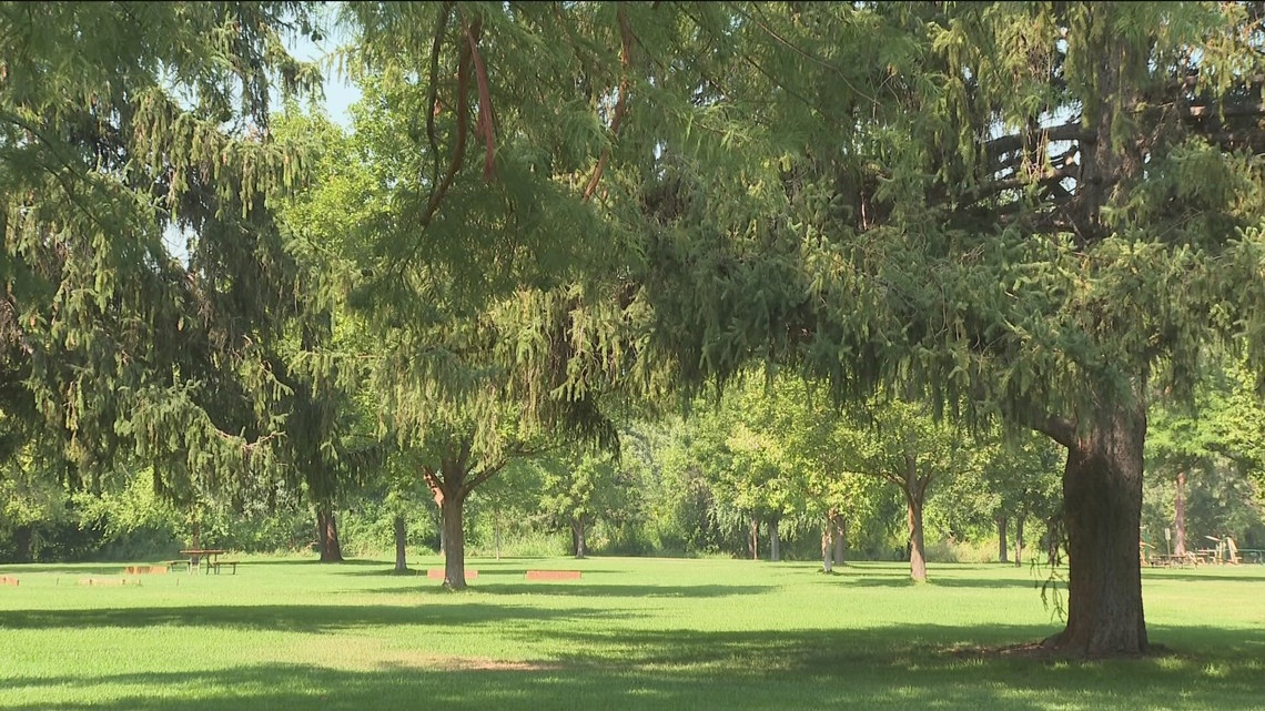 The City of Trees Challenge aims to plant a tree for every household in Boise [Video]