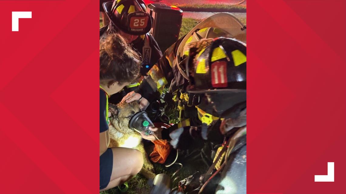 Dog rescued from fire at Suffolk home [Video]