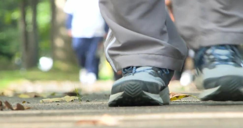 Community walks for Sickle Cell Awareness Month in Flint | News [Video]