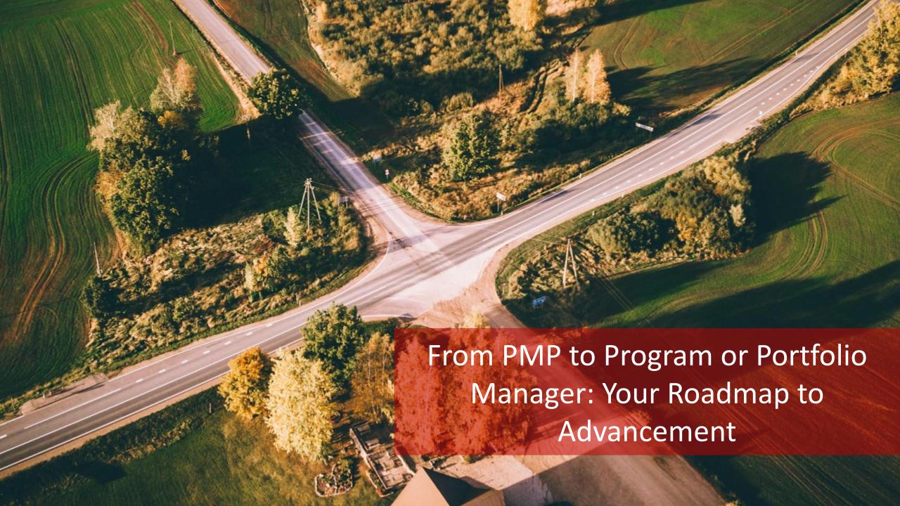 From PMP to Program or Portfolio Manager: Your Roadmap to Advancement Bonus! The Salary Opportunities for Program and Portfolio Managers!!! [Video]