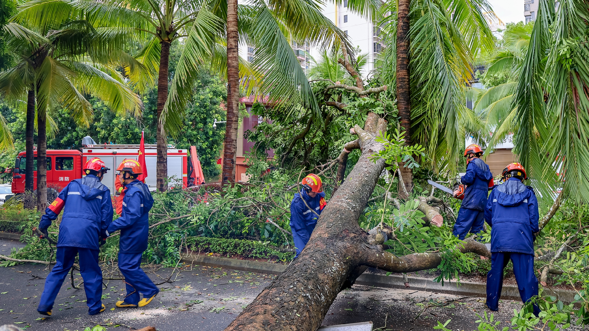 Live: Press conference on reconstruction work after Super Typhoon Yagi [Video]